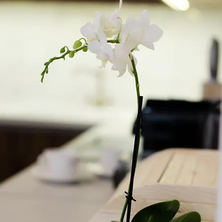 Luxury By Hi5 - Location 3-br Apartamento