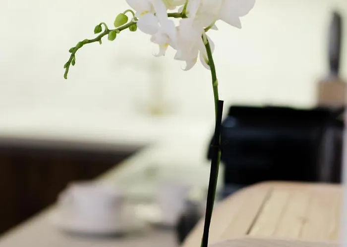 Luxury By Hi5 - Location 3-br * Budapešť